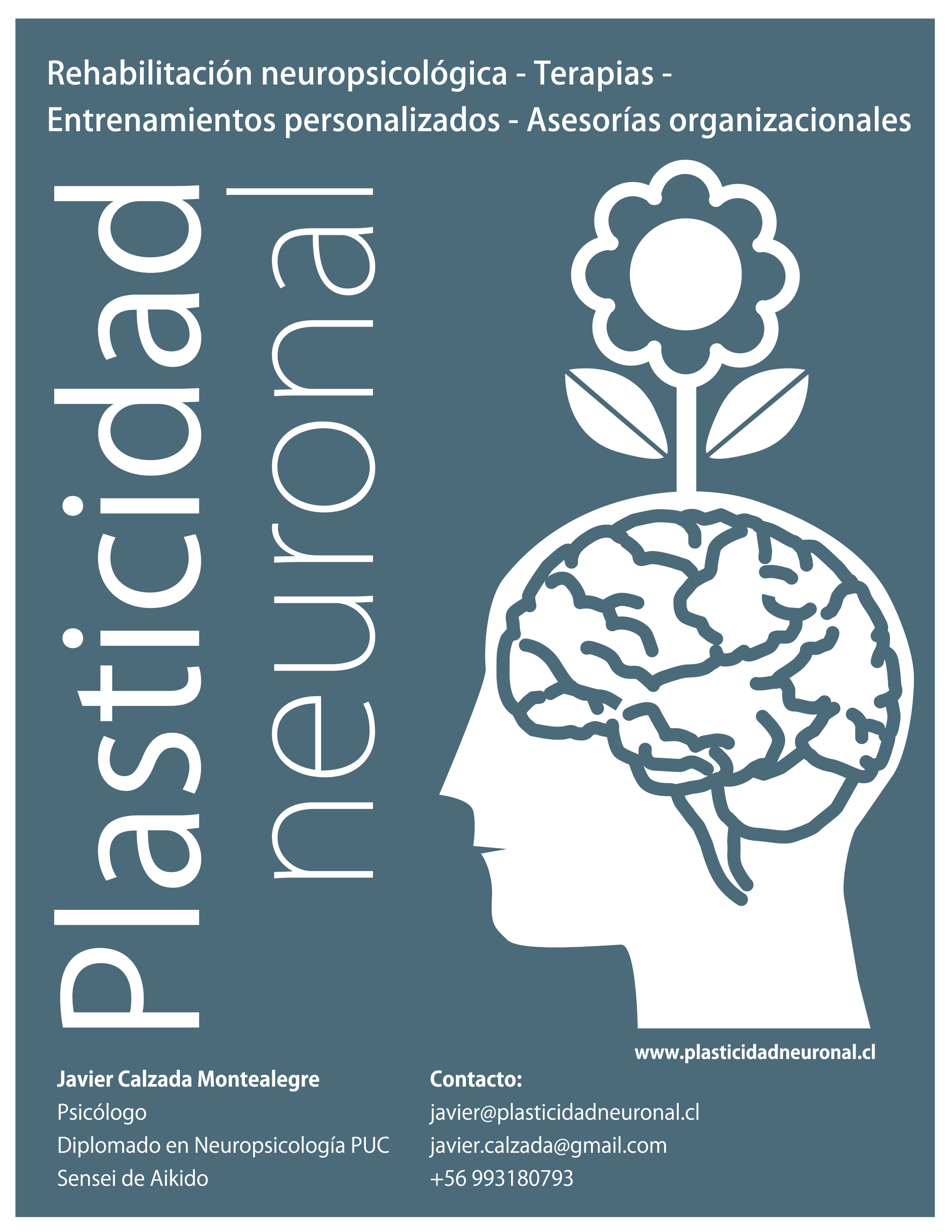 AFICHE plasticidad neuronal