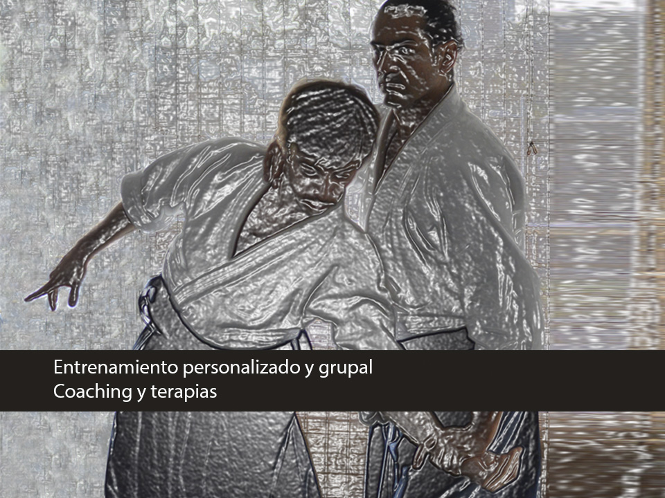 javier aikido 960 x 720 px